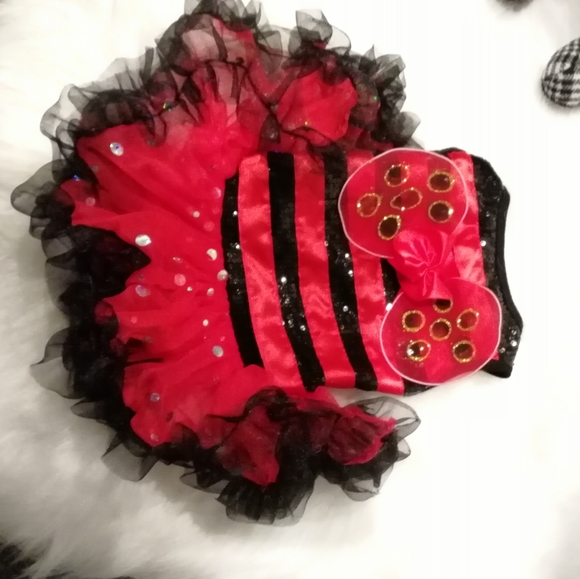 Dog ladybug custom - Picture 2 of 4